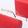 Lunettes de soleil pour hommes Lunettes de soleil Medusa Eyeglass Fashion Silver Metal Eyeglass Original Red Case Buffalo Horn Lunette Lunette D248Y