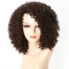African Small Curly Afro Wigs Synthetic Wig Factory Wholesale