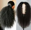 Perruques synthétiques pour femmes, cheveux bouclés et ondulés, perruque Afro africaine