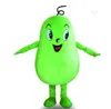 2022 Profissional Winter Melon Mascot Costume Halloween Birthday Party Parade de publicidade Adulta Uso de terno ao ar livre