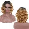 Noir Dégradé Brun Perruques Femme Cheveux Courts Bouclés Côté Frange Rose Net Ombre Perruque