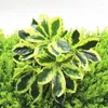 Dekorativa blommor 1pc livtro konstgjorda bladgren realistiska 9-grenar Schefflera Plant Faux Simulation Plants Home Decor