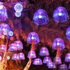 Strängar 60/80 cm Fiber Optic Fairy String Light Jellyfish Mormor Christmas Hanging Garland för Tree Patio Decor