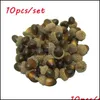 Décoration de fête 10pcs / ensemble Simation artificielle Small Acorn Christmas Decor for Kitchen Po Accesstes Drop Livrot 2021 Home Garden Festiv Dhqfo