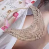 Choker Multi-Layer Crystal Rhinestone f￶r kvinnor collier femme smycken krage chocker guld silver f￤rg halsband