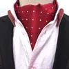 Exsafa Herren Polyester Temperament Schal Retro Krawatte Schal Business Fashion