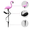 LED LED Flamingo مقاومة للماء ، طابق زخرفة الحديقة في الهواء الطلق ، مع مصابيح المناظر الطبيعية