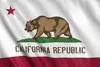 California bayrağı ücretsiz doğrudan fabrika toptan 3x5fts 90x150cm California Eyaleti ABD İç Mekan Açık Asılı Dekorasyon için Bayrak