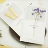 인사말 카드 50pcs/pack 신선한 꽃 말린 인사말 카드 gypsophila forget-me-not 꽃 크리스마스 cardchrismas 220930