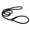 Colliers de chien 2022 Marque Nylon Laisse Formation P Plomb Sangle Collier 3 Couleurs 120CM