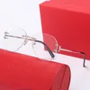 Lunettes de soleil pour hommes Lunettes de soleil Medusa Eyeglass Fashion Silver Metal Eyeglass Original Red Case Buffalo Horn Lunette Lunette D248Y