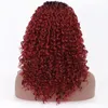 Femmes africain petit rouleau afro perruques small curly Hair Factory Wholesale