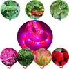 Grow Lights LED Light Full Spectrum USB Strip 60LED / M Phyto Lampade per semi di fiori per interni Lampada per coltivazione di piante idroponiche