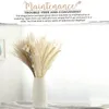 Dekorative Blumenkränze, 80 Stück, getrocknetes Pampasgras, Pantas Artificiales Para Real Plants, Heimdekoration, Hochzeitsdekoration, Fleur Sechee Nature
