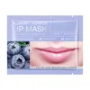 Lip Plumper Fruit Lip Mask Brightening Lip-Color Lightening Lip-Line Masks Orange Strawberry Avocado Blueberry Lips Nourishing Spa Lip-care Lip-moisturizing ZL1281