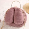 Borse a tracolla HBP Cute Girls Warm Plush Messenger Women Rabbit Ear Shape Chain Mobile Phone Small 220811