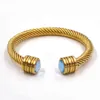 ED CABLE BRACLAND SLIVER Bangles manschett Multi -armband Designer smycken män kvinna guld254y