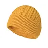 Chapeaux tricotés pour hommes et femmes, chapeaux d'hiver à la mode, simples, couleur unie, pull torsadé
