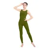 Catsuit Costumes Bodybuilding vêtements de yoga Combinaison de gym Bretelles croisées sur le dos Collants Lycar spandex One-Piece Anime Stage Cosplay Combinaisons de performance