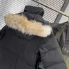 Вниз куртки дизайнеры дизайнеров Parkas Homme Outdoor Winter Jassen Overwear Большой меховой капюшон с капюшоном Fourrure Manteau Dow