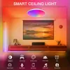 US Stock LED-Deckenleuchten Flush Mount 12-Zoll 30W Smart Deckenleuchten RGB Farbwechseln Sie Bluetooth WiFi App Steuerelement 2700K-6500K Dimmbare Synchronisation