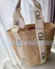 Высококачественные дизайнеры сумки сумки для плеча моды соломенная торговля женщинами пляжные сумки рюкзак рюкзак рюкзак нейлоновый кожаный кошельки с большими сумочками поперечного тела