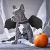 Cat Halloween Harness Bat Wings Pet Costumes for Small Dogs Cats Party Decoration 220819