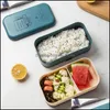 Ensembles De Vaisselle Boîte À Lunch Bento Pour L'école Enfants Employé De Bureau Pique-nique Double Couche Japonais Micro-Ondes Portable En Plastique Containe Mxhome Dhbsx