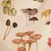 Psychodeliczny dekoracje dywanu dywanu Mycology Identyfikacja Dekoracja ilustracja J220804