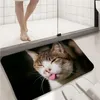 Halılar Kawaii Cat Mat Camper Halı Banyo Giriş Puafat Banyosu Kapalı Zemin Halı Emici Anti-kayma Mutfak Rugcarpets