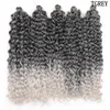 Virka flätor flätande hårförlängningar 24 tum Ocean Wave Hawaii Afro Curl Ombre Curly Blonde vattenvåg flätan