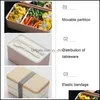 Dijksets Sets Dubbele lagen Lunchbox met lepel mode draagbare magnetron bento gezonde plastic opslagcontainer lunchb yydhhome dhhgd