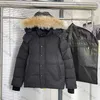 Down Parkas Canadian Gooses Langfords Wyndhams Jackets Herrkvinnor Designers Coats Veste Homme Winter Jassen Puffer Big päls ytterkläder Manteau Hiver