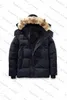 Down Parkas Canadian Gooses Langfords Wyndhams Jackets Herrkvinnor Designers Coats Veste Homme Winter Jassen Puffer Big päls ytterkläder Manteau Hiver