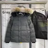 Down Parkas Canadian Gooses Langfords Wyndhams Jackets Herrkvinnor Designers Coats Veste Homme Winter Jassen Puffer Big päls ytterkläder Manteau Hiver