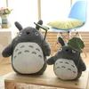 Totoro Plush Toy Cute Plush Cat Japanese Anime Figure Doll Plush Totoro With Lotus Leaf Kids Toys Födelsedag Christmas Gift 201204268835986