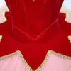 Filles scène Dancewear rouge Tutu robe Ballet Tutu enfants vêtements Cosplay Costumes