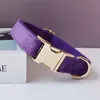 Collari per cani Guinzagli Incisione gratuita ID Collare di lusso in nylon Guinzaglio con farfallino Fibbie in metallo dorato Accessori per animali domestici regolabili Flanella