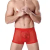 Caleçons transparents voir à travers les shorts imprimés sous-vêtements sexy pour hommes Boxershorts Boxer marque hommes caleçons masculins