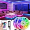 Strips LED RGB Strip Licht Waterdichte tape Lint 5m 10m met IR -afstandsbediening voor Kerstmisstip