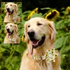 Colliers de chien laisses collier personnalisé imprimé fille avec fleur noeud papillon collier de plaque signalétique gravé gratuit pour petits chiens moyens chien