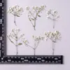 Couronnes de fleurs décoratives véritable pressé séché Euphorbia Graminea fleur plantes sèches collier faisant artisanat accessoires de bricolage décoration artificielle