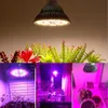 Luces de cultivo Bombilla de luz LED E27 Planta 200 LED Luz solar Espectro completo Flor de interior Vegetales Crecimiento de plántulas LampGrow
