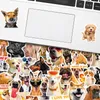 50 Realistisk hund graffiti klistermärke Telefon Laptop Skateboard Bildekaler Pack för bagage Gitarr Hjälm klistermärke