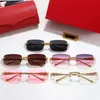 도매 패션 남성 Carti 디자이너 선글라스 유명 브랜드 대형 럭셔리 디자인 맞춤형 남성 선글라스 여성 2022 Sun Glasses Sunglass with red box