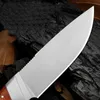 1st H8222 utomhusöverlevnad Rak jaktkniv D2 Satin Drop Point Blade Full Tang Rosewood Handle Fixed Blade Knives With Leather Mante