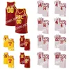 James NCAA College USC Trojansバスケットボールジャージー5 Derryck Thornton Nikola Vucevic 10 Derozan 1 Young Custom Stitched