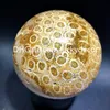 Doğal agatize mercan akik jasper küre top el sanatları fosil chrysanthemum jade mücevher orb