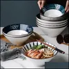 Ciotole Ciotola Ramen Famiglia Tagliatella Grande Zuppa Di Ceramica Dipinta A Mano Drop Consegna 2021 Casa Giardino Cucina Sala Da Pranzo Bar Dinnerwa Yydhhome Dh6V7