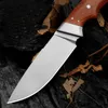 1st H8222 utomhusöverlevnad Rak jaktkniv D2 Satin Drop Point Blade Full Tang Rosewood Handle Fixed Blade Knives With Leather Mante